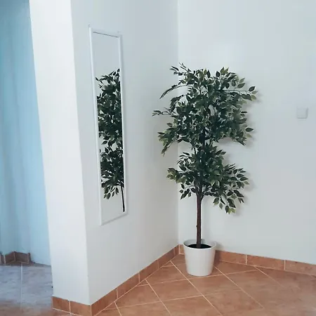 Karlo - Center * פג